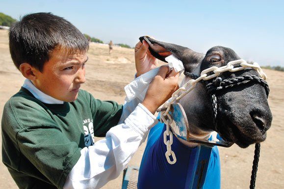 County fair set to lose funding next year