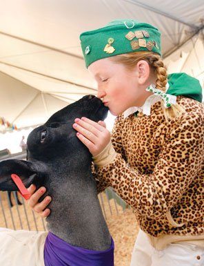 Youth learn responsibility, business skills at county fair