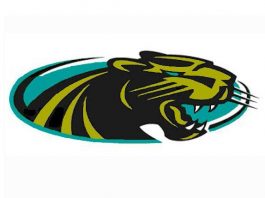 FIELD HOCKEY: Cougars drop a pair of league games 1-0