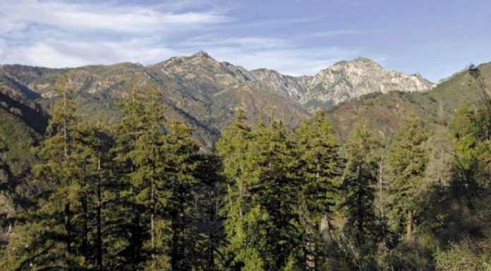 GETTING OUT: The country that lies beyond the roadside