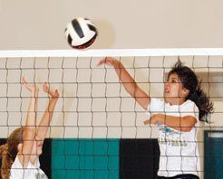 VOLLEYBALL: CHS nets five postseason awards