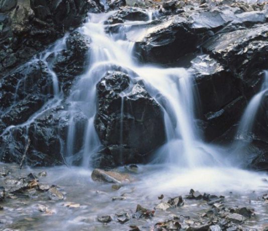 Uvas Canyon park reopens