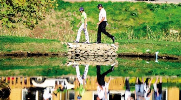 The top 10 local stories of 2010