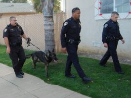 Suspect escapes police following afternoon chase