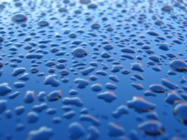 Plenty of rain early in season