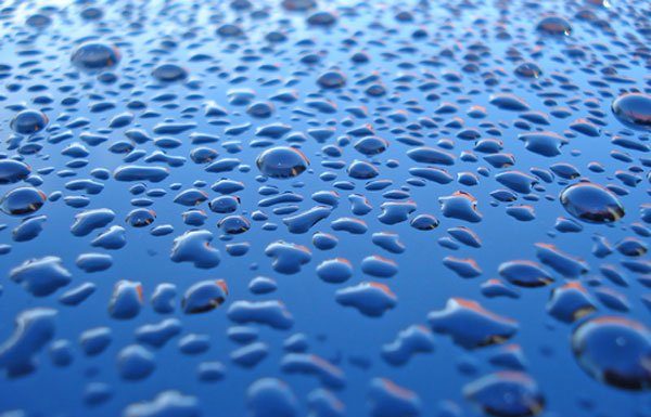 Plenty of rain early in season