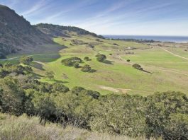 GETTING OUT: Palo Corona lives up to its exclusivity