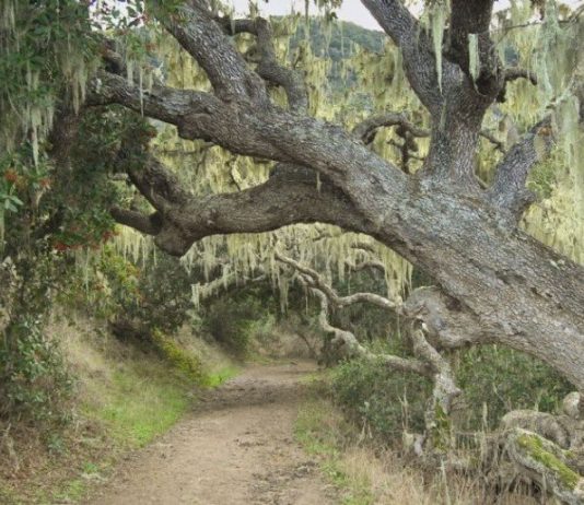 GETTING OUT: Garland Park offers more than meets the eye