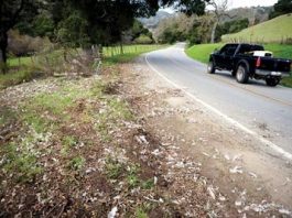 Rollover litters road with turkey carcasses