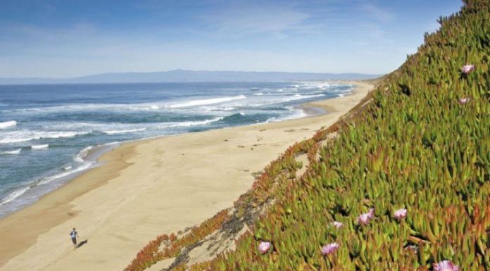 GETTING OUT: A beach lovers ‘secret’ paradise