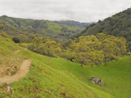 Trails from crowded to remote