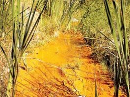 New Idria finally might make cleanup list