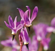 GETTING OUT: Sitting on a gold mine