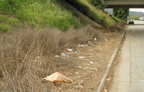 Eyesore of the Week: Luchessa Avenue beneath the highway overpass