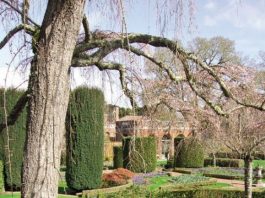 GETTING OUT: An upscale outdoor experience at Filoli
