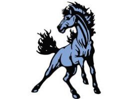 BASEBALL: Mustangs sit in fourth after 1-3 week