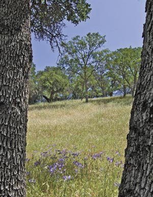 GETTING OUT: The right approach to Mount Diablo Park