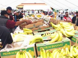 Community briefs: Jeramy Ailes Memorial Fishing Derby