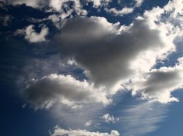 Gilroy growers say good riddance to rainy season