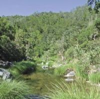 GETTING OUT: China Hole, a ‘Coe Park classic’