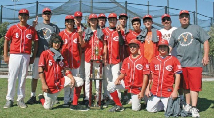 BASEBALL: Chaos U14 are title clinchers