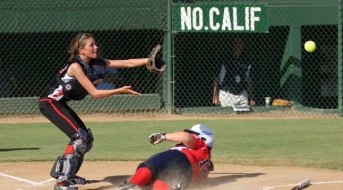LITTLE LEAGUE: Majors All-Stars through to regional final