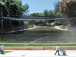 ‘It’s in our blood’