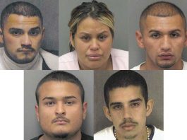 Unusual murder charges dropped