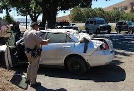 Woman hospitalized in single-car rollover on Hwy. 101