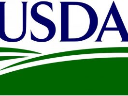 USDA recalls ground turkey tainted by salmonella