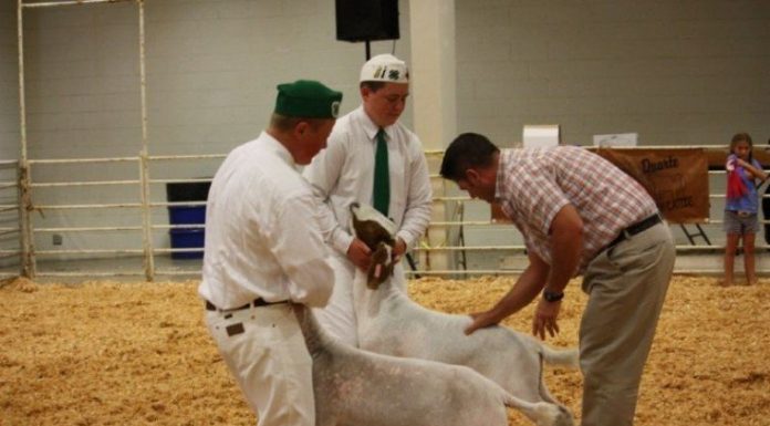 Dozens of awards farmed out to Adams 4-H