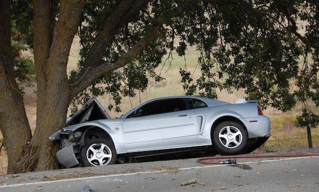 Mustang collides head-on with tree