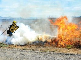 CalFire torches 70-plus acres in training exercise