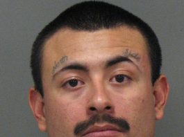 Car jacker leads police on 80 mph chase