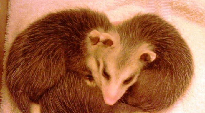 HAPPY VALENTINE’S DAY