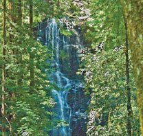 GETTING OUT: Skyline-to-the-Sea Trail keeps your eyes busy