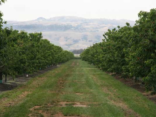 Court says dismiss senior housing developer’s claim against city