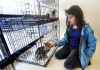 10 lives for friends of animal shelter