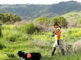Sierra LaMar’s purse and clothes found