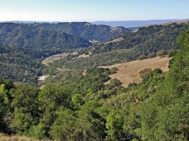 GETTING OUT: Jim Donnelly Trail