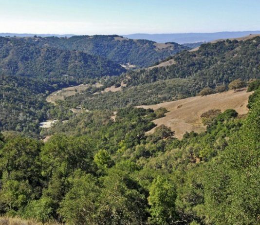 GETTING OUT: Jim Donnelly Trail