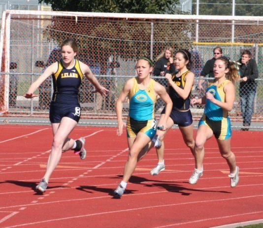 PREP ROUNDUP: Baseball, track and field and volleyball