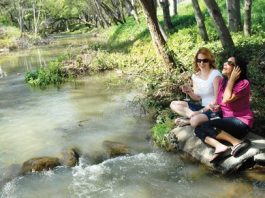 Jason-Stephens Winery