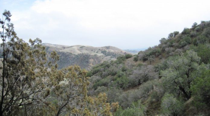 Updated: Plane wreckage, victim found in Diablo Mountains