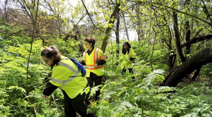 Month has been a ‘nightmare’