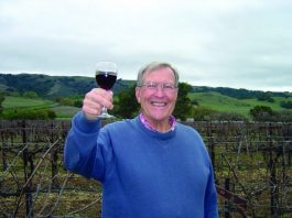 Cupcake wines are a sure bet – and affordable