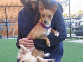 POTW: Missy and Toby