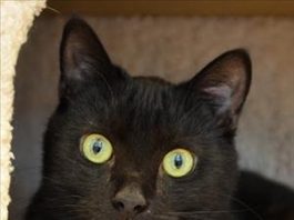 POTW: Bill and Dixon