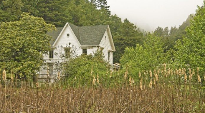 GETTING OUT: Bird watching at Martin Griffin Preserve