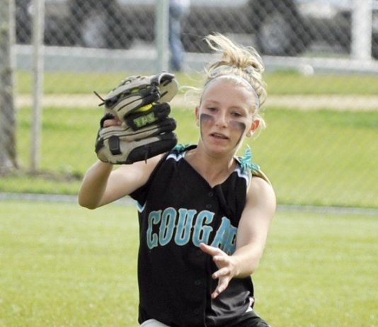 SOFTBALL: Four first-team selections lead class of nine Cougar honorees